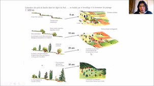 MEEF Dynamique des peuplements IIc