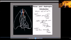Paroi thoracique et diaphragme - P1