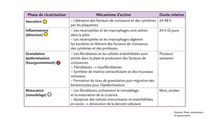 DFGSM2 - MED0306 - Réaction inflammatoire - Résolution-réparation