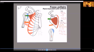 UE24 EC2_Gland mammaire - P3