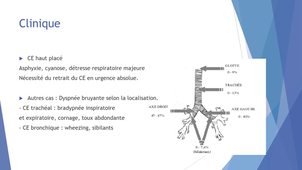 DE IPA URGENCES - Pneumothorax - UE13_C_22