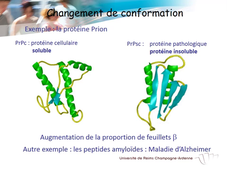 Peptide et protéines