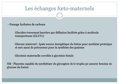 PASS / L.AS - UE 21 - EC 4 : Unité foeto-placentaire - La barrière placentaire, les échanges foeto-maternels