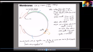 Anatomie-vision - P3