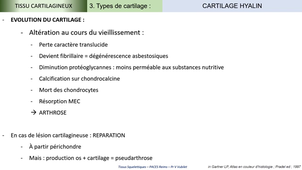 UE2-EC2 - Tissus cartilagineux - V Vuiblet