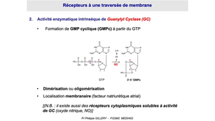 DFGSM2 - MED0402 - Récepteurs, ligands et hormones - Récepteurs membranaires