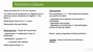 2.2 - Physiologie digestive - p 3