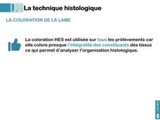 L.AS UE13 - CM1 - Définitions technique et microscopie 2
