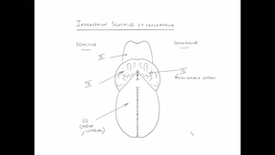 UE9EC1 - CM4 - Pr. Avisse - 1/1