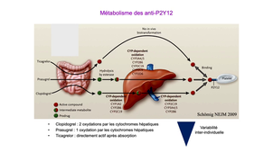 DFGSM2 / DFGSMa2 - MED0304 - Plaquettes - Modulation pharmacologique