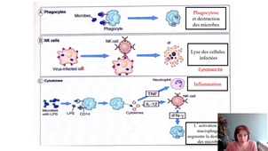 2.10 S1 Infectiologie Hygiène IMMUNO PARTIE 3