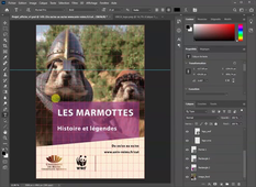 Affiche_etape_8_positionner les textes