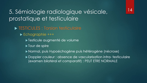 radiologie P2V8