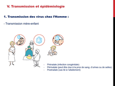 DFGSM3 / DFGSMa2 / DFGSO2 - MED0501 - Généralités sur les virus
