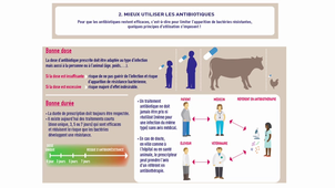 Problème Emergence Ressistance ATB 2