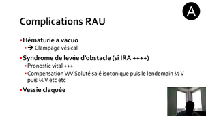 Item 347 - RAU