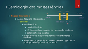 radiologie P2V4