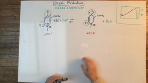 OxydoReductionDegOxydation