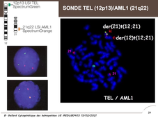 MEDLIB0403 cytogénétique 3
