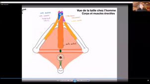 UE24 EC2_Périnée - P7
