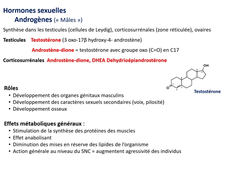 L.AS SpS - UE 14 - Biochimie - Lipides - Stérols, stéroïdes et stérides