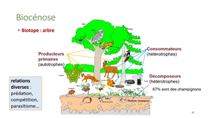 PASS - UE 15 - Evolution, Ecologie, Environnements - Biosphère et biodiversité