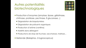 CM Streptomyces partie 8
