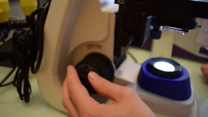 Tutoriel Microbiologie - La coloration de Gram