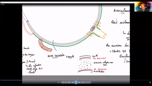 Anatomie-vision - P4