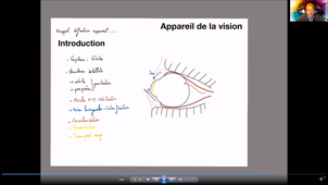 Anatomie-vision - P1