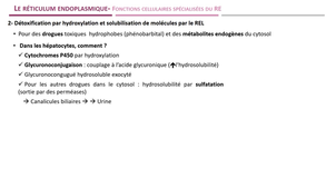 UE14-Module5-Séq1