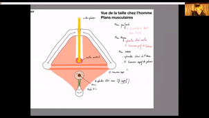 UE24 EC2_Périnée - P6