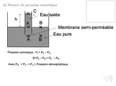 CM4 - V. Zéninari - partie 2
