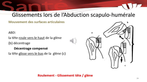 Séquence 1.1 - Approche biomécanique de l'épaule - P2