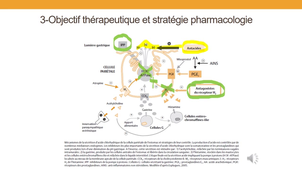DFGSM2 - MED0403 - Pharmacologie gastro-intestinale - Sécrétion gastrique et régulation de la sécrétion acide de l'estomac - Les cibles pharmacologiques