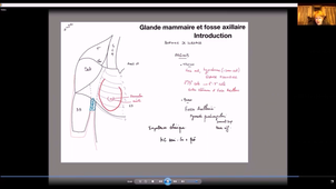 UE24 EC2_Gland mammaire - P1