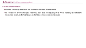 DFGSM - APV5 - Séq2