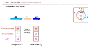 LAS - Module 9 - Séq 5
