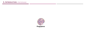 DFGSM2 - MED0302 - Mort cellulaire - Introduction