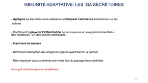 immunité des muqueuses 2
