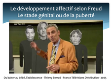 CM Développement enfant Freud