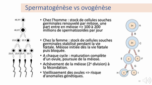 2.2 physiologie reproduction - p1