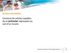 2.7 les tissus : sequence1