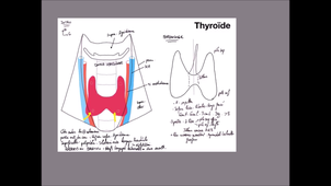 IFSI-Thyroide-intro