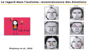 Cours sur les TSA A. Novo