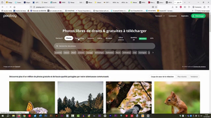Trouver des médias dans capcut et sur le site pixabay