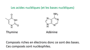 PASS / L.AS - UE 12 - Bases de chimie - Les acides et divers