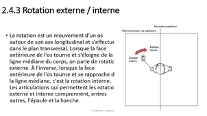 2.2 Appareil locomoteur - système articulaire t chretien