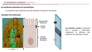 UE14-Module2-Séq3