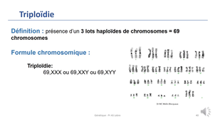 seq3_partie 3-SF_ASLebre_2025